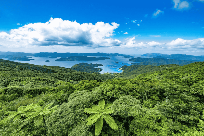 Amami Oshima | A subtropical island registered as a World Natural ...